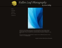 Fallen Leaf Photography Version 1